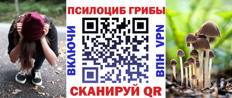 Галлюциногенные грибы прущие грибы  кракен зеркало  Каргат  даркнет сайт 